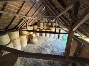 Prodej zemědělského objektu, Šimanov, 150 m2