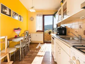 Prodej bytu 2+1, Blansko, Čapkova, 59 m2