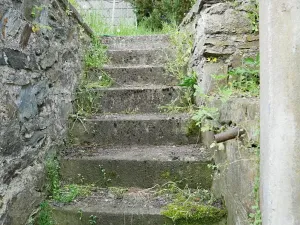 Prodej rodinného domu, Plasy, 112 m2
