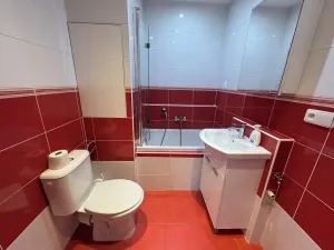 Pronájem bytu 1+1, Jihlava, Březinova, 32 m2