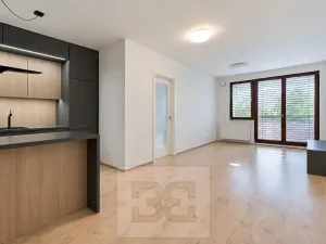 Pronájem bytu 2+kk, Praha - Libeň, Davídkova, 65 m2