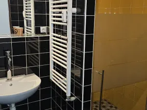 Pronájem bytu 1+kk, Hranice, Masarykovo náměstí, 60 m2