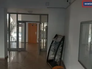 Prodej bytu 1+kk, Brno, Božetěchova, 34 m2