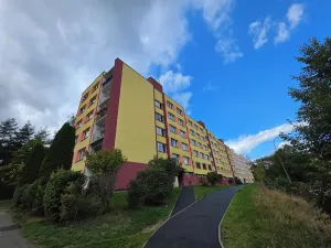Prodej podílu bytu 3+1, Český Krumlov, Sídliště Plešivec, 75 m2