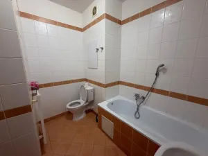 Pronájem bytu 1+kk, Liberec, Jeronýmova, 36 m2