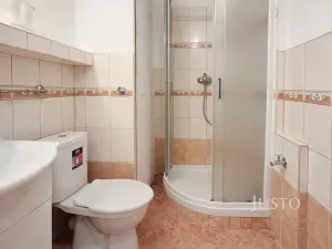 Pronájem bytu 1+1, Písek, třída Přátelství, 38 m2