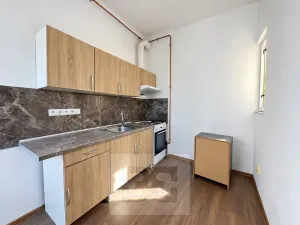 Pronájem bytu 3+1, Děčín, Na Úpatí, 55 m2
