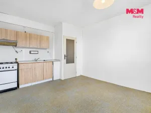 Prodej bytu 1+1, Ústí nad Labem, Kmochova, 33 m2