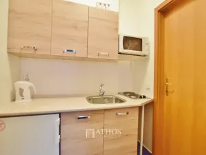 Pronájem bytu 1+kk, Brno, Horova, 27 m2
