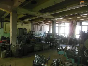 Prodej výrobních prostor, Stružinec, 10029 m2