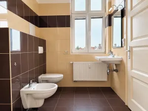 Pronájem bytu 2+1, Ostrava, Denisova, 72 m2