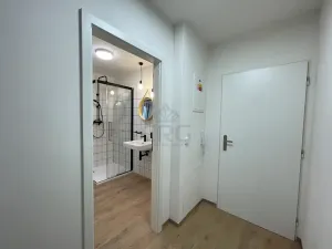Pronájem bytu 2+kk, Brno, Sovinec, 42 m2