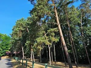 Pronájem bytu 2+kk, Brno, Sovinec, 42 m2