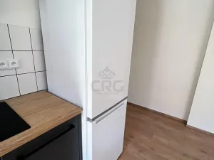 Pronájem bytu 2+kk, Brno - Štýřice, Sovinec, 42 m2