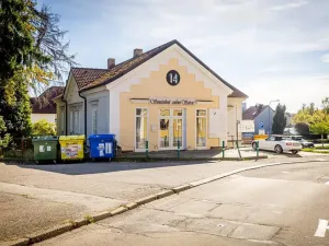 Prodej obchodního prostoru, Jindřichův Hradec, Denisova, 200 m2