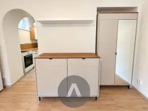 Pronájem bytu 1+kk, Brno, Žabovřeská, 35 m2