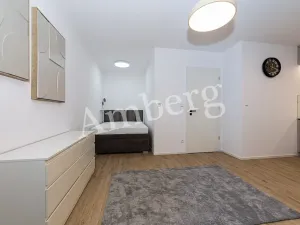 Pronájem bytu 1+kk, Praha - Karlín, Křižíkova, 32 m2