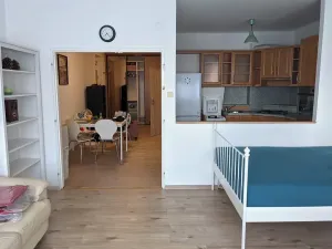 Pronájem bytu 1+kk, Praha - Nusle, Pod pramenem, 52 m2