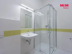 Pronájem bytu 2+kk, Plzeň - Jižní Předměstí, Americká, 62 m2