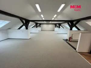 Pronájem kanceláře, Ostrava - Moravská Ostrava, Nemocniční, 150 m2