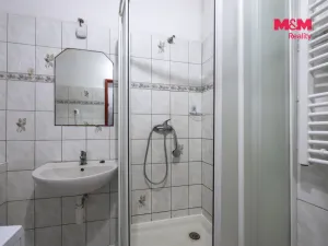 Prodej bytu 2+kk, Horšovský Týn - Dolní Metelsko, 45 m2