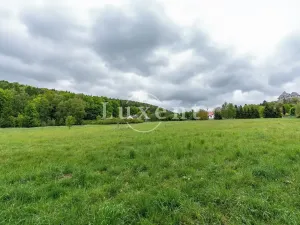 Prodej pozemku pro bydlení, Lipnice nad Sázavou, 38008 m2