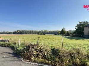 Prodej pozemku, Horka nad Moravou, 4784 m2