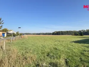 Prodej pozemku, Horka nad Moravou, 4784 m2