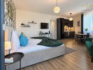 Pronájem bytu 1+kk, Brno, třída Generála Píky, 36 m2