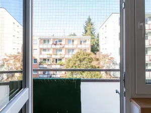 Prodej bytu 2+1, Brno - Žabovřesky, Fričova, 54 m2