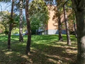 Prodej bytu 2+1, Brno - Žabovřesky, Fričova, 54 m2