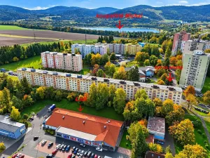 Prodej bytu 3+1, Sokolov, Mánesova, 70 m2