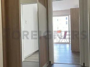 Pronájem bytu 2+kk, Olomouc, Eduarda Hamburgera, 54 m2