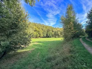 Prodej pozemku pro bydlení, Řepníky, 19850 m2