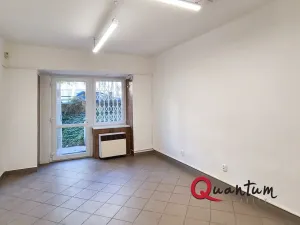 Pronájem obchodního prostoru, Praha - Žižkov, Hartigova, 45 m2