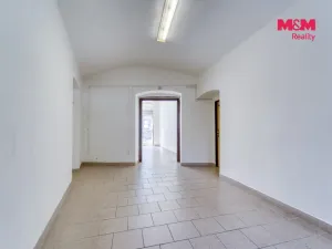 Pronájem obchodního prostoru, Plzeň - Jižní Předměstí, Palackého, 48 m2