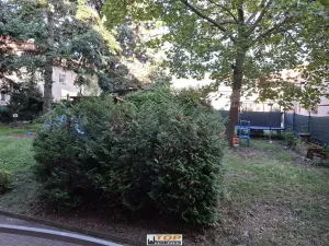 Pronájem bytu 3+1, Chomutov, Kadaňská, 69 m2