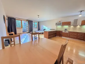 Pronájem bytu 2+kk, Praha - Břevnov, Šlikova, 78 m2