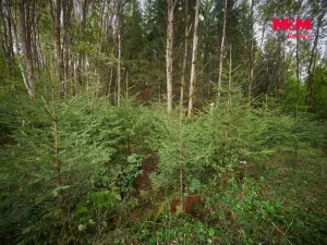 Prodej pozemku pro bydlení, Trutnov - Starý Rokytník, 1788 m2