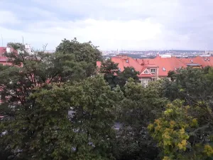 Pronájem bytu 1+1, Praha - Vinohrady, Kouřimská, 44 m2