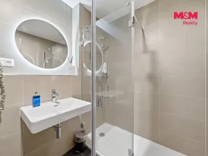 Prodej bytu 1+kk, Olomouc, Ostrovní, 36 m2