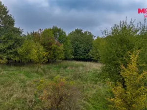 Prodej pole, Blíževedly - Hvězda, 38582 m2