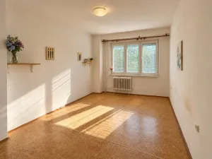 Prodej bytu 2+1, Kralupy nad Vltavou - Lobeček, Hakenova, 56 m2