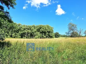 Prodej lesa, Trutnov - Babí, 44299 m2