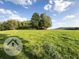 Prodej zahrady, Liberec, Ztracená, 5183 m2
