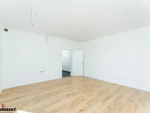 Prodej bytu 1+kk, Plzeň, Železná, 38 m2