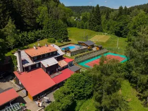 Prodej ubytování, Bartošovice v Orlických horách, 500 m2