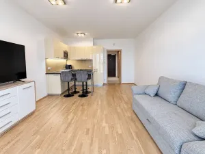 Pronájem bytu 1+kk, Praha - Žižkov, Olšanská, 37 m2