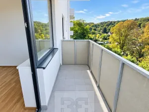 Pronájem bytu 2+kk, Kladno, Lesík, 55 m2