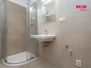 Pronájem bytu 1+kk, Plzeň - Litice, Vysoká, 38 m2